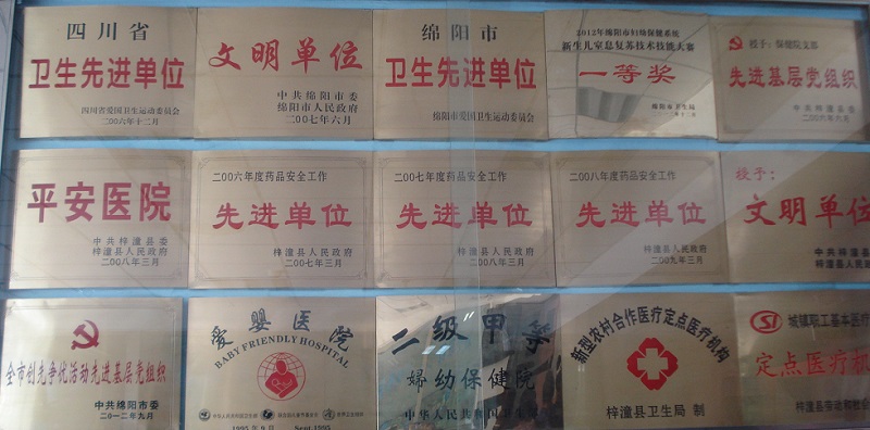 部分获奖称号.JPG